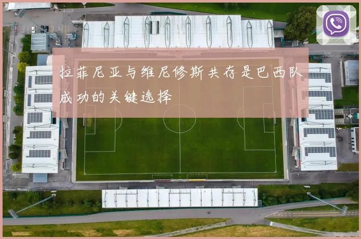 拉菲尼亚与维尼修斯共存是巴西队成功的关键选择